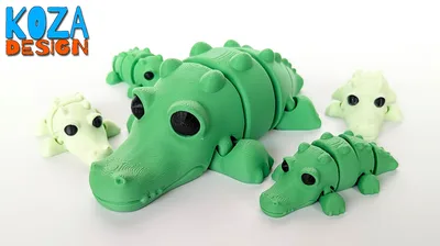 Alligator