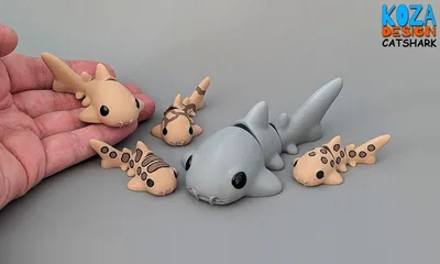 Catshark