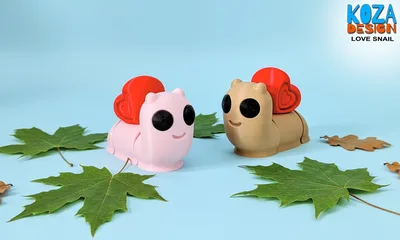 Heart Shell Snail