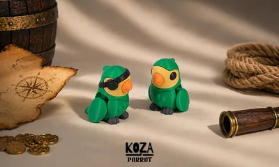 Pirate Parrot