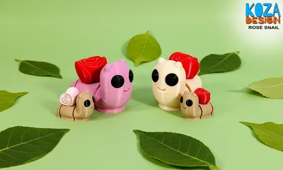 Rose Snail