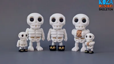 Skeleton