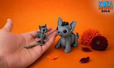 Xolo